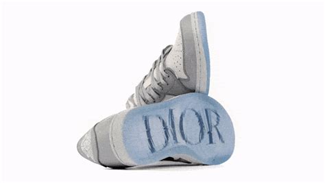 aor dior|dior limited edition sneakers.